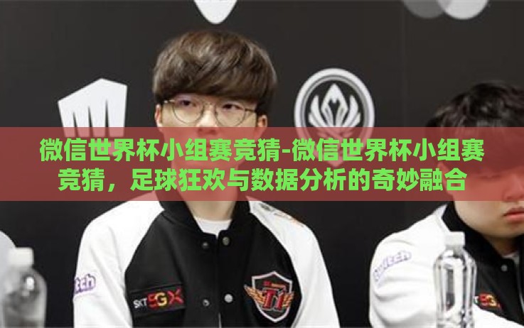 微信世界杯小组赛竞猜-微信世界杯小组赛竞猜，足球狂欢与数据分析的奇妙融合