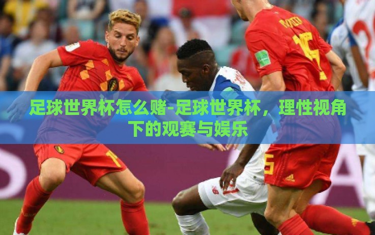 足球世界杯怎么赌-足球世界杯,理性视角下的观赛与娱乐 足球世界杯怎么赌-足球世界杯,理性视角下的观赛与娱乐