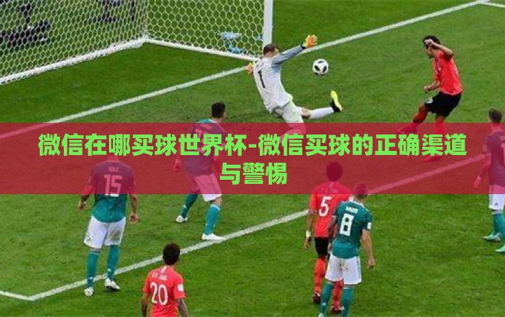 微信在哪买球世界杯-微信买球的正确渠道与警惕 微信在哪买球世界杯-微信买球的正确渠道与警惕