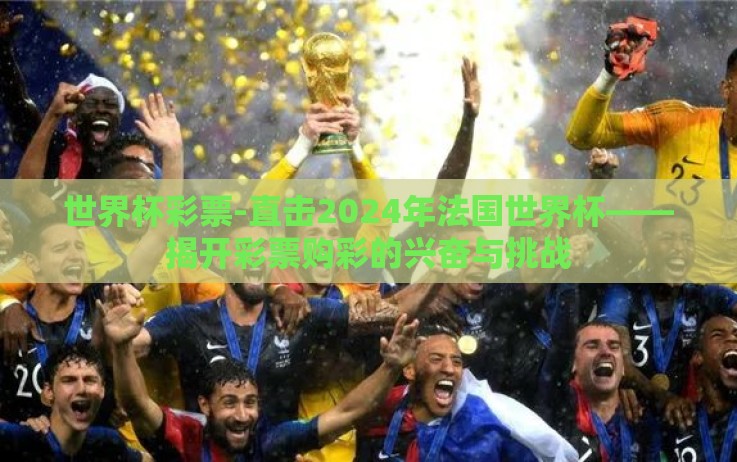 世界杯彩票-直击2024年法国世界杯——揭开彩票购彩的兴奋与挑战