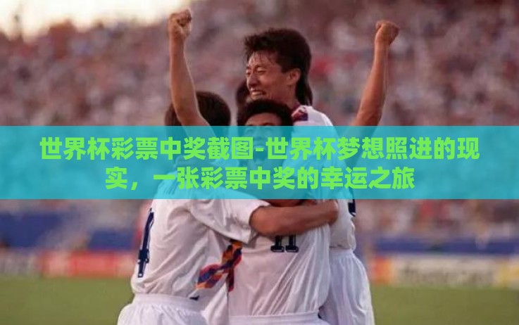 世界杯彩票中奖截图-世界杯梦想照进的现实，一张彩票中奖的幸运之旅