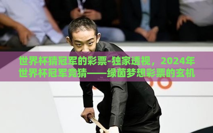 世界杯猜冠军的彩票-独家透视,2024年世界杯冠军竞猜——绿茵梦想彩票的玄机 世界杯猜冠军的彩票-独家透视,2024年世界杯冠军竞猜——绿茵梦想彩票的玄机