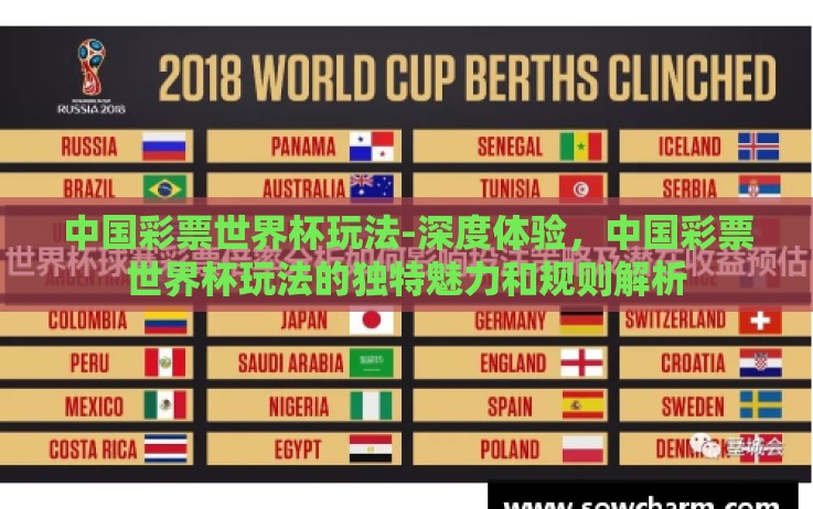 中国彩票世界杯玩法-深度体验,中国彩票世界杯玩法的独特魅力和规则解析 中国彩票世界杯玩法-深度体验,中国彩票世界杯玩法的独特魅力和规则解析