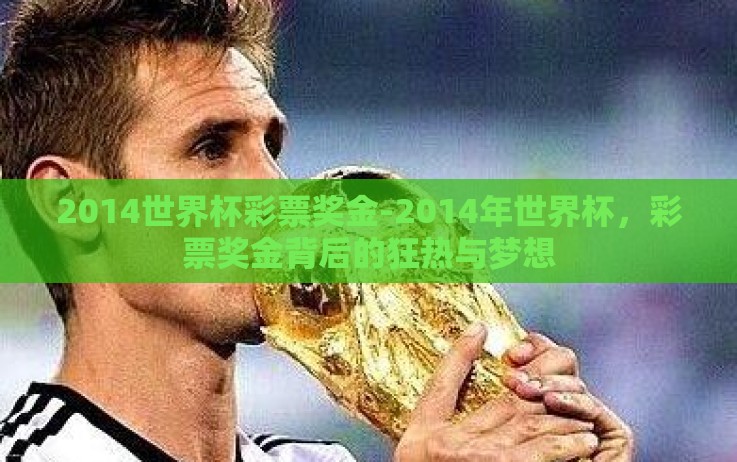 2014世界杯彩票奖金-2014年世界杯,彩票奖金背后的狂热与梦想 2014世界杯彩票奖金-2014年世界杯,彩票奖金背后的狂热与梦想