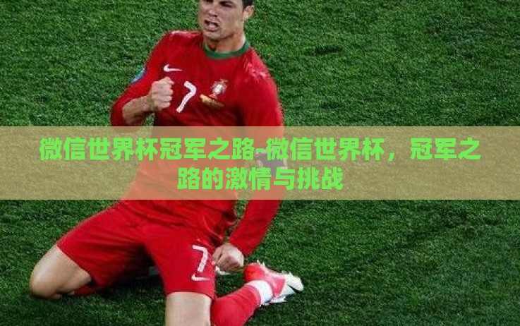微信世界杯冠军之路-微信世界杯，冠军之路的激情与挑战