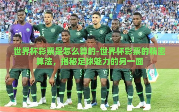 世界杯彩票是怎么算的-世界杯彩票的精密算法，揭秘足球魅力的另一面