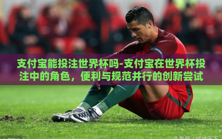 支付宝能投注世界杯吗-支付宝在世界杯投注中的角色,便利与规范并行的创新尝试 支付宝能投注世界杯吗-支付宝在世界杯投注中的角色,便利与规范并行的创新尝试
