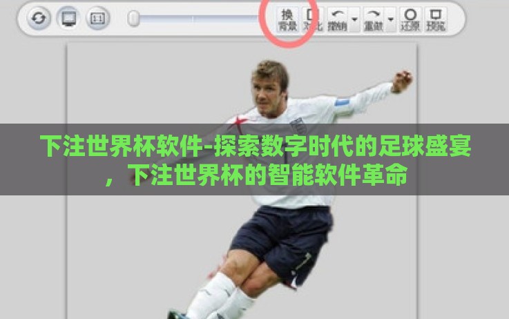 下注世界杯软件-探索数字时代的足球盛宴，下注世界杯的智能软件革命