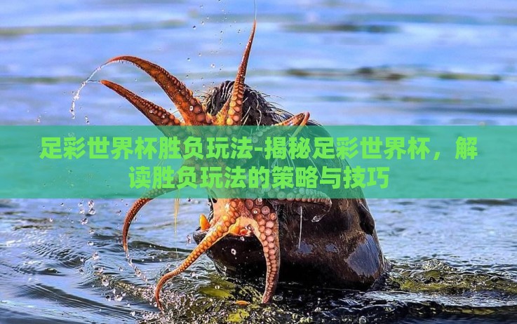 足彩世界杯胜负玩法-揭秘足彩世界杯，解读胜负玩法的策略与技巧