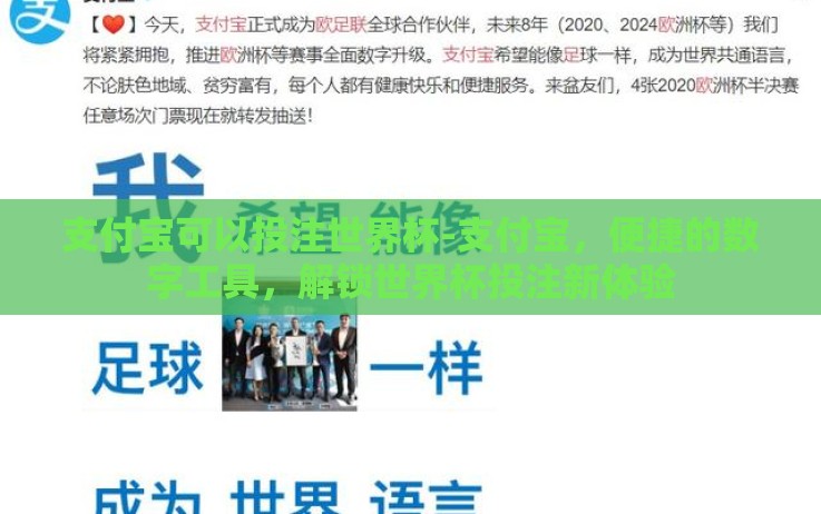 支付宝可以投注世界杯-支付宝,便捷的数字工具,解锁世界杯投注新体验 支付宝可以投注世界杯-支付宝,便捷的数字工具,解锁世界杯投注新体验