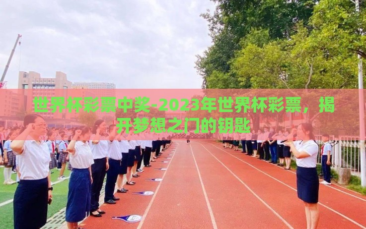 世界杯彩票中奖-2023年世界杯彩票,揭开梦想之门的钥匙 世界杯彩票中奖-2023年世界杯彩票,揭开梦想之门的钥匙