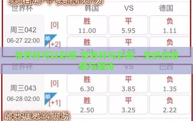 世界杯可以彩票-世界杯与彩票,交织的激情与期待 世界杯可以彩票-世界杯与彩票,交织的激情与期待