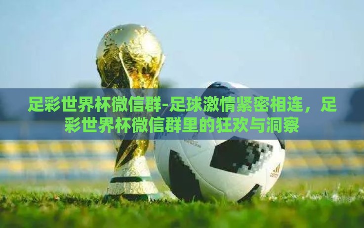 足彩世界杯微信群-足球激情紧密相连，足彩世界杯微信群里的狂欢与洞察