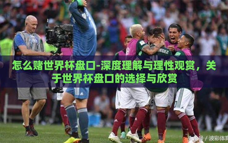怎么赌世界杯盘口-深度理解与理性观赏，关于世界杯盘口的选择与欣赏