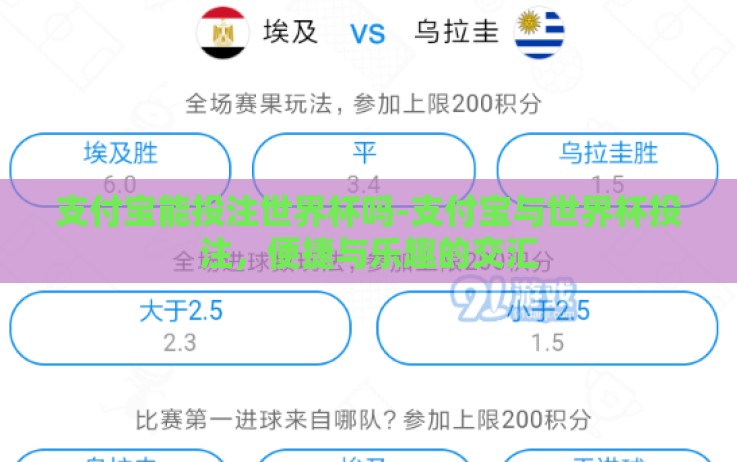 支付宝能投注世界杯吗-支付宝与世界杯投注,便捷与乐趣的交汇 支付宝能投注世界杯吗-支付宝与世界杯投注,便捷与乐趣的交汇