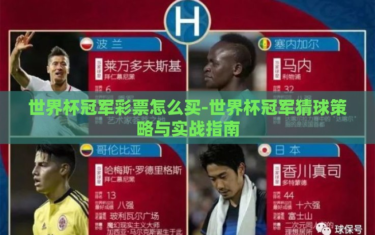 世界杯冠军彩票怎么买-世界杯冠军猜球策略与实战指南 世界杯冠军彩票怎么买-世界杯冠军猜球策略与实战指南
