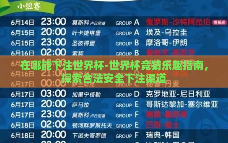 在哪能下注世界杯-世界杯竞猜乐趣指南,探索合法安全下注渠道 在哪能下注世界杯-世界杯竞猜乐趣指南,探索合法安全下注渠道