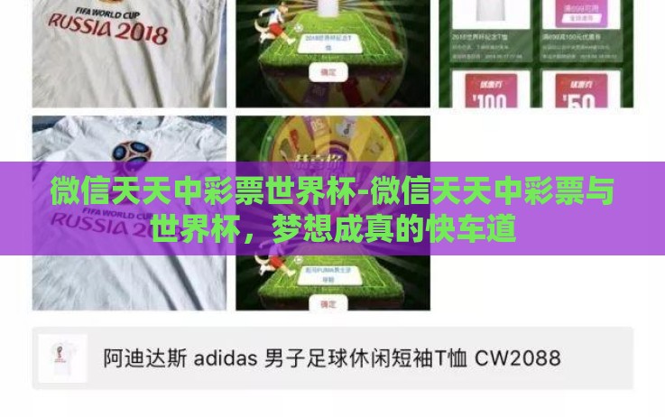 微信天天中彩票世界杯-微信天天中彩票与世界杯，梦想成真的快车道
