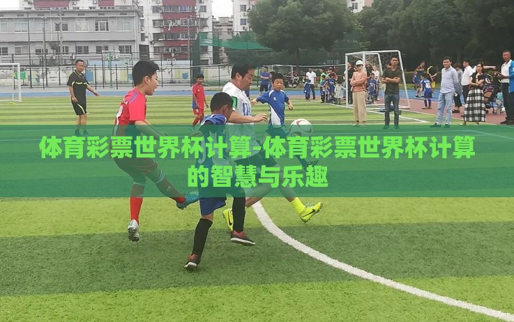 体育彩票世界杯计算-体育彩票世界杯计算的智慧与乐趣 体育彩票世界杯计算-体育彩票世界杯计算的智慧与乐趣