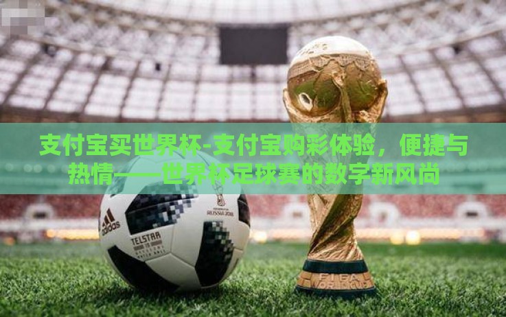 支付宝买世界杯-支付宝购彩体验，便捷与热情——世界杯足球赛的数字新风尚