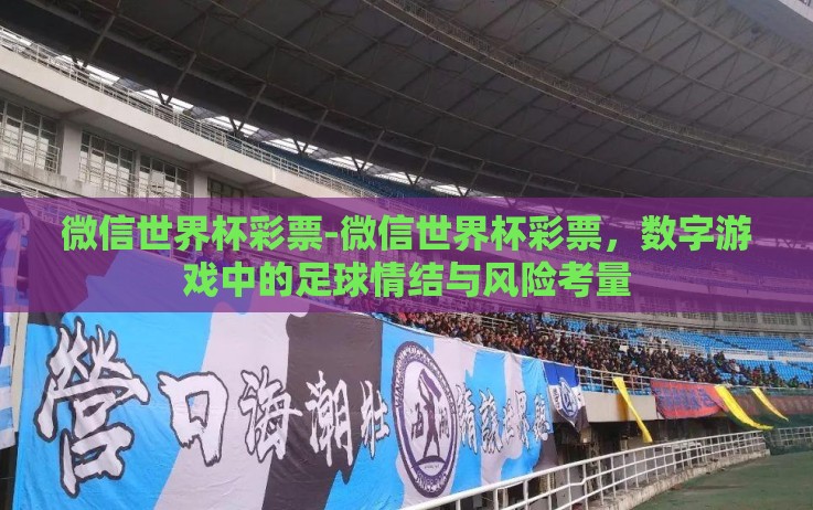 微信世界杯彩票-微信世界杯彩票,数字游戏中的足球情结与风险考量 微信世界杯彩票-微信世界杯彩票,数字游戏中的足球情结与风险考量