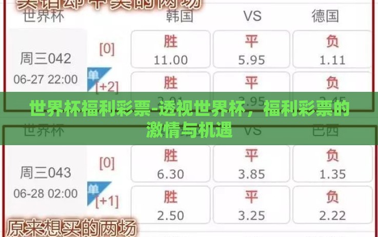 世界杯福利彩票-透视世界杯,福利彩票的激情与机遇 世界杯福利彩票-透视世界杯,福利彩票的激情与机遇