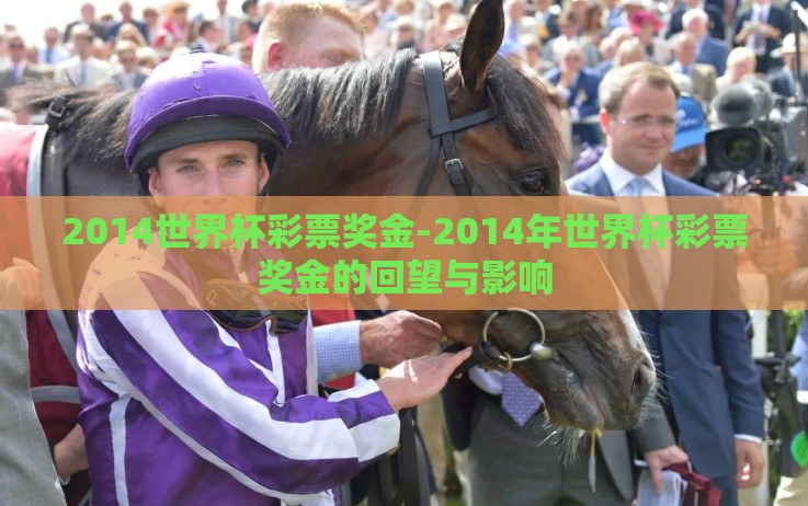 2014世界杯彩票奖金-2014年世界杯彩票奖金的回望与影响