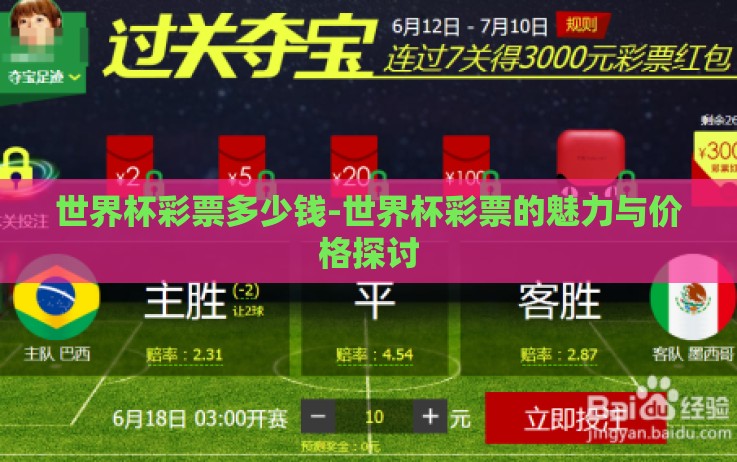世界杯彩票多少钱-世界杯彩票的魅力与价格探讨 世界杯彩票多少钱-世界杯彩票的魅力与价格探讨