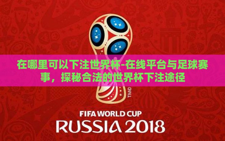 在哪里可以下注世界杯-在线平台与足球赛事，探秘合法的世界杯下注途径