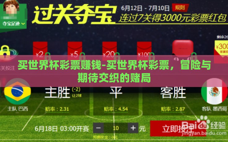 买世界杯彩票赚钱-买世界杯彩票，冒险与期待交织的赌局