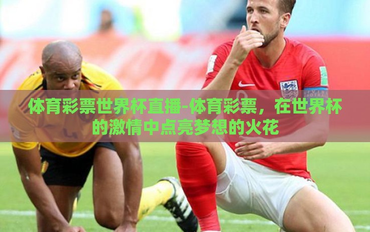 体育彩票世界杯直播-体育彩票,在世界杯的激情中点亮梦想的火花 体育彩票世界杯直播-体育彩票,在世界杯的激情中点亮梦想的火花