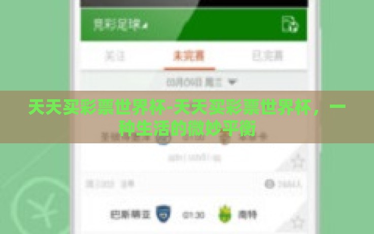 天天买彩票世界杯-天天买彩票世界杯，一种生活的微妙平衡