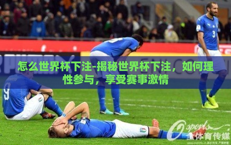 怎么世界杯下注-揭秘世界杯下注,如何理性参与,享受赛事激情 怎么世界杯下注-揭秘世界杯下注,如何理性参与,享受赛事激情