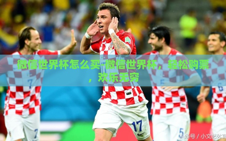 微信世界杯怎么买-微信世界杯,轻松购票,欢乐无穷 微信世界杯怎么买-微信世界杯,轻松购票,欢乐无穷