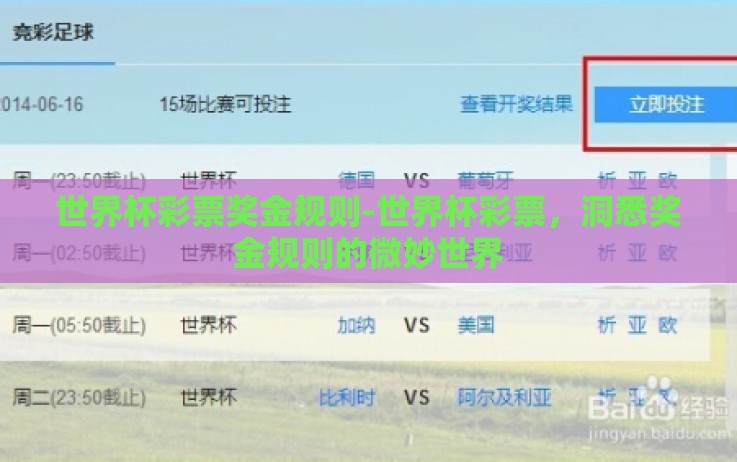 世界杯彩票奖金规则-世界杯彩票,洞悉奖金规则的微妙世界 世界杯彩票奖金规则-世界杯彩票,洞悉奖金规则的微妙世界